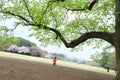 running kids at Shinjuku Gyoen